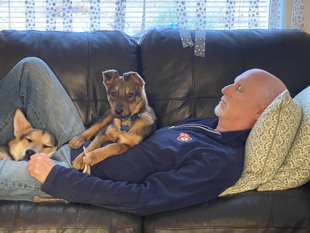 CEO Bryan Wachs with his rescue pups.