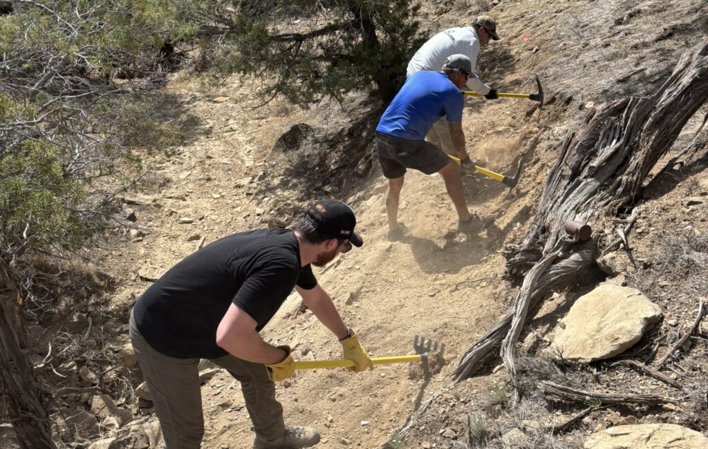 Mountain bikers using tools on a new single track trail.