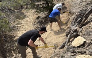 Mountain bikers using tools on a new single track trail.